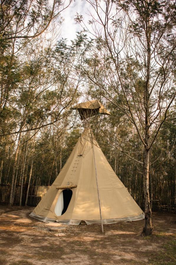 קניסנה Forest Harmony מראה חיצוני תמונה