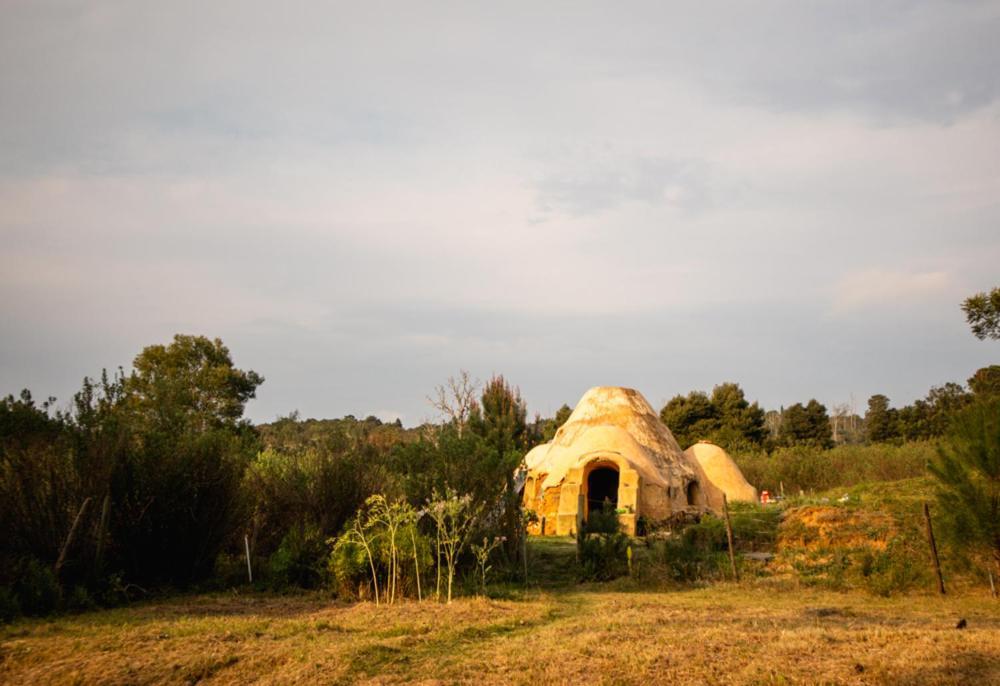 קניסנה Forest Harmony מראה חיצוני תמונה